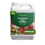 Kerstroos Vloeibare meststof - 10 liter, Verzenden, Mest