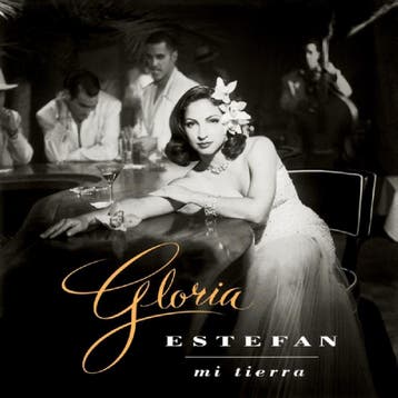 lp nieuw - gloria estefan - MI TIERRA (nieuw), Verzenden, Zo goed als nieuw, Overige formaten