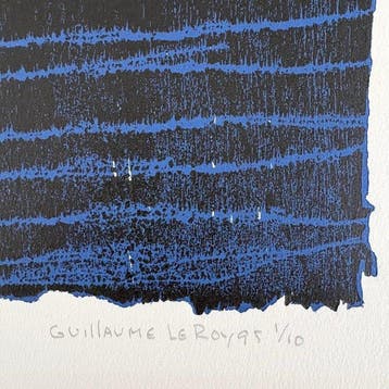 Guillaume Le Roy - zonder titel