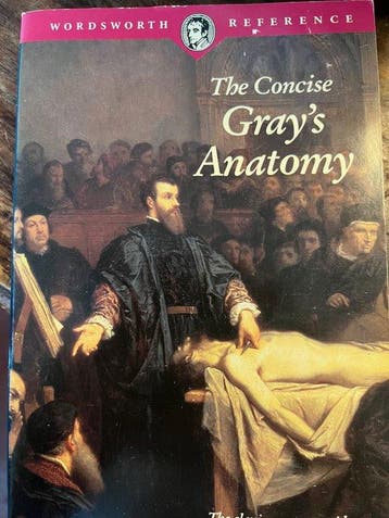 The Concise Grays Anatomy - C H Leonard 9781853263941, Boeken, Verzenden, Gelezen, C H Leonard