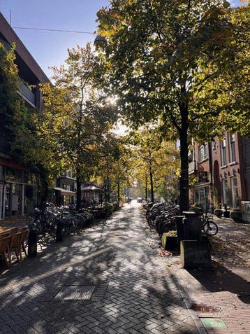 Te huur: Appartement Eerste Sweelinckstraat in Amsterdam, Noord-Holland, Appartement, Amsterdam