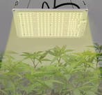 Dimbare Kweeklicht Volledig Spectrum LM301B LED Hoog Rendeme, Verzenden, Nieuw