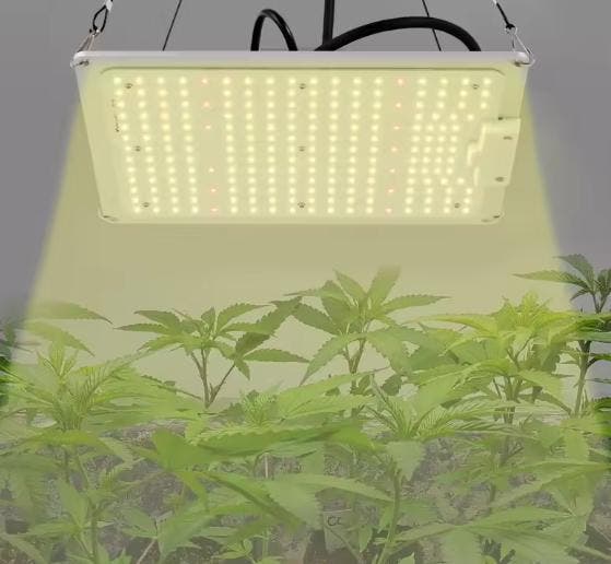 Dimbare Kweeklicht Volledig Spectrum LM301B LED Hoog Rendeme, Boeken, Wonen en Tuinieren, Nieuw, Verzenden