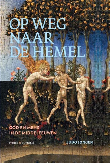 Op weg naar de hemel - Ludo Jongen 9789056157036, Boeken, Verzenden, Zo goed als nieuw, Ludo Jongen