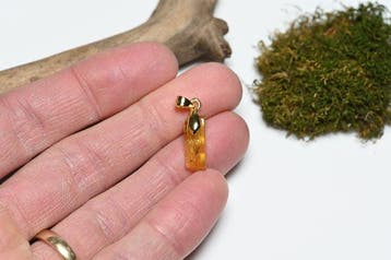 Goudgevuld Baltisch amberhanger - met een Sciaridae
