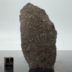 Eerste meteoriet ter wereld die door NAGJIR is