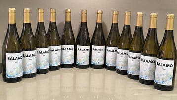 2024 Vinigalicia, Balamo - Rias Baixas - 12 Flessen (0.75, Nieuw