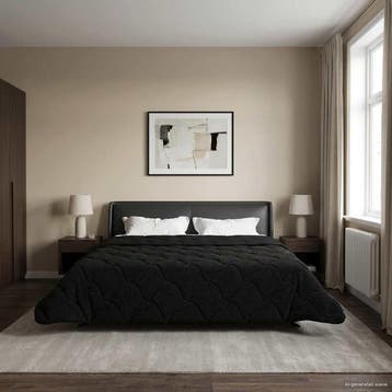 vidaXL Zomer Dekbed Zwart 220 x 260 cm Microfiber en Teddy, Verzenden, Nieuw, Zwart
