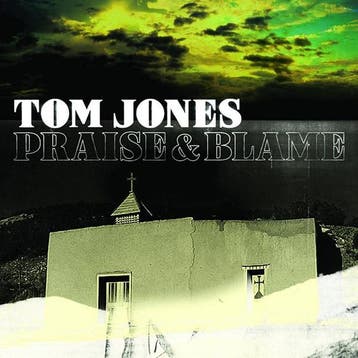 cd - Tom Jones - Praise &amp; Blame, Verzenden, Zo goed als nieuw