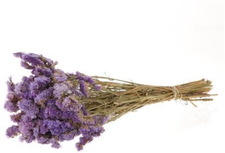 Statice Sinuata Lamsoor droogbloemen Milka ca. 70 cm, Huis en Inrichting, Woonaccessoires | Kunstplanten en Kunstbloemen, Nieuw