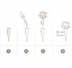 Corsagehouder Boutonnière Flowerdarte Zwart per stuk, Ophalen of Verzenden, Nieuw