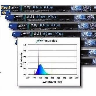 T5 TL 80 watt - Blue Plus - ATI - perfecte blauwe zeewaterla, Ophalen of Verzenden, Nieuw