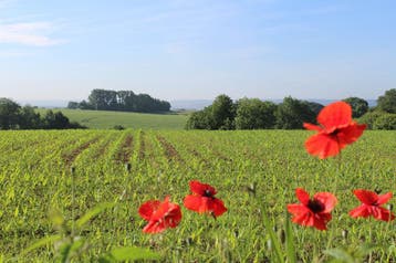 Vakantieappartementen Zuid-Limburg genieten vanaf €325/week, Eigenaar