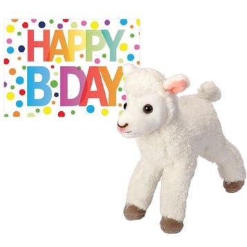 Pluche lammetje - knuffel - 20 cm - met verjaardagskaart, Verzenden, Nieuw
