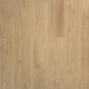Douwes Dekker Spontaan Nootmuskaat (Douwes Dekker Laminaat), Verzenden, 50 tot 150 cm, Nieuw, 10 m² of meer
