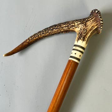 Wandelstok - Antieke jachtwandelstok met hertengewei-handvat