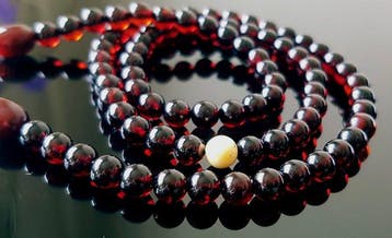 Amber Zeldzame Baltische Amber Ketting voor Vrouwen en