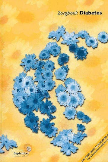 Zorgboek Diabetes 9789072248961, Verzenden, Zo goed als nieuw