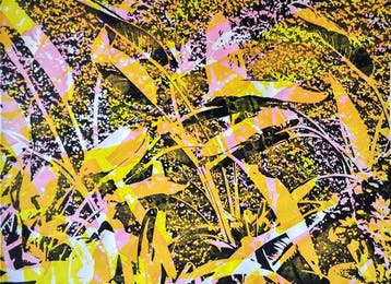 Gergana Tabakova - Digital Gardens 2