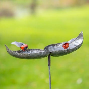 sculptuur, Dubbele drinkschaal met twee roodborsten - 140 mm