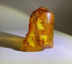 Uitgehouwen natuurlijke Baltische cabochon van 4,5 cm -