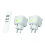 ACC2-250R stekkerdoos dimmer met afstandsbediening, Ophalen of Verzenden, Nieuw