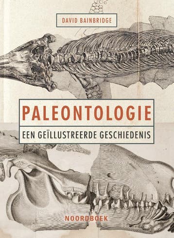 Paleontologie | David Bainbridge | Nieuw, Ophalen of Verzenden, Nieuw, David Bainbridge