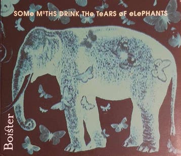 cd digi - Boister - Some Moths Drink The Tears Of Elephants, Verzenden, Zo goed als nieuw