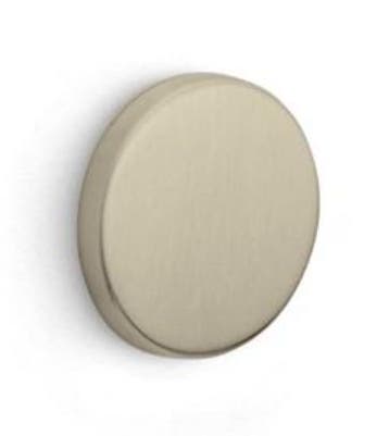 Blind plaatje BASICS LBB50 PVD champagne, Verzenden, Nieuw