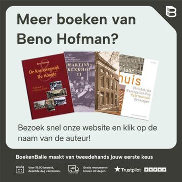 Van omnibus tot Q-link - Beno Hofman 9789077989821, Boeken, Verzenden, Zo goed als nieuw, Beno Hofman