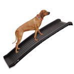 Hondenloopplank - 155 x 40 x 9 cm, Verzenden, Nieuw