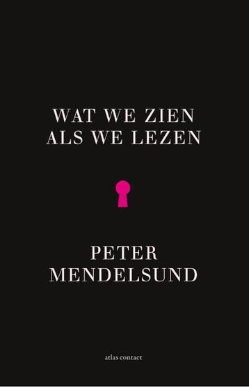 Wat we zien als we lezen - Peter Mendelsund 9789025445676, Verzenden, Gelezen, Peter Mendelsund