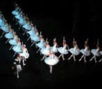 Het Zwanenmeer Tickets Te Koop, Tickets en Kaartjes