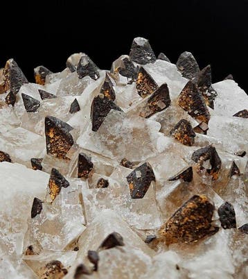 Calciet met dubbele generatie, wit en bruin, Sardinië