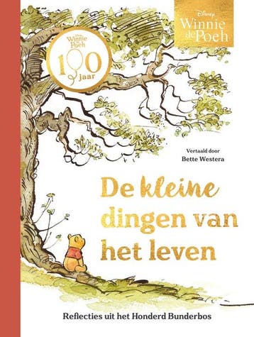 9789047635130 Winnie de Poeh. De kleine dingen van het leven, Boeken, Verzenden, Nieuw, Disney