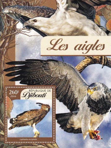 Djibouti - 2016 - Arenden - Postfris, Verzenden, Postfris, Dier of Natuur
