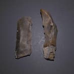 Neolithisch 2 vuurstenen. Mes van 7 cm lang - 5000 v.Chr.