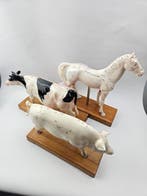 Anatomisch model - Plastic - 2000-2010 - Anatomische dieren