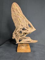 Spike the Oviraptor - Museumkwaliteit-replica - Fossiele