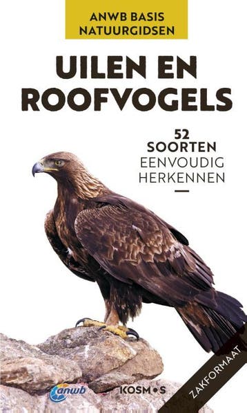 Uilen En Roofvogels | Volker Dierschke | Nieuw, Ophalen of Verzenden, Nieuw, Volker Dierschke