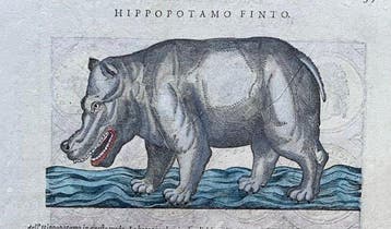 Hippopotamo finto - 1565, Antiek en Kunst