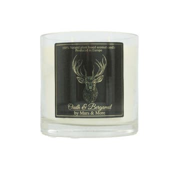 geurkaars oudh bergamot h12 d12, Verzenden, Nieuw