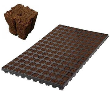 Eazy Plug CT150, 2x2 cm, 150 st. (per tray), Ophalen of Verzenden