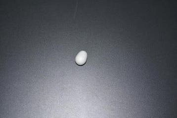 6200 Plastic ei tropen, Ophalen of Verzenden, Nieuw
