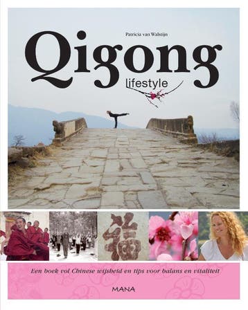 Qigong lifestyle 9789000310616 Patricia van Walstijn, Verzenden, Gelezen, Patricia van Walstijn