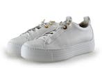 Paul Green Sneakers in maat 37 Wit, Kleding | Dames, Schoenen, Verzenden, Wit, Paul Green, Sneakers of Gympen