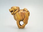 Zeldzame en grote netsuke van een staande Shishi -