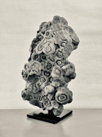 Stromatoliet. - Fossiele matrix - 37 cm - 21 cm, Verzamelen