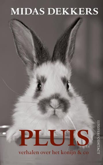 Pluis - Midas Dekkers 9789025436162, Boeken, Verzenden, Zo goed als nieuw, Midas Dekkers