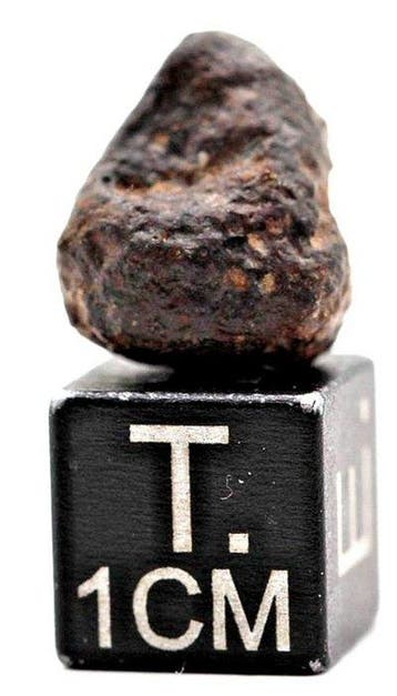NWA 14967 ureiliet, primitieve achondrietmeteoriet - 1.59 g